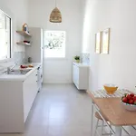 فيلة Ravanica *