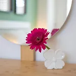 Ravanica مارينا دي راغوزا