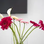 Ravanica فيلة مارينا دي راغوزا