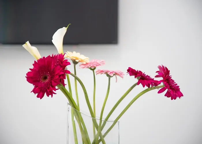 Ravanica Villa Marina di Ragusa